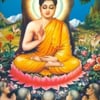 Kim A.